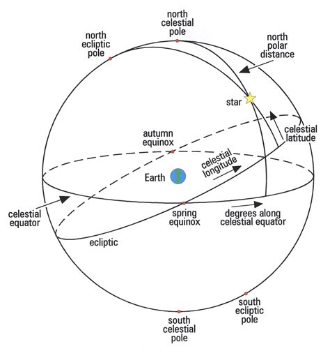 The Profound Link between Equines and the Celestial Sphere