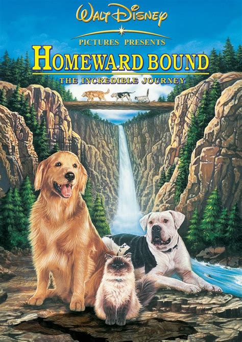 The Profound Longing for Homeward Bound