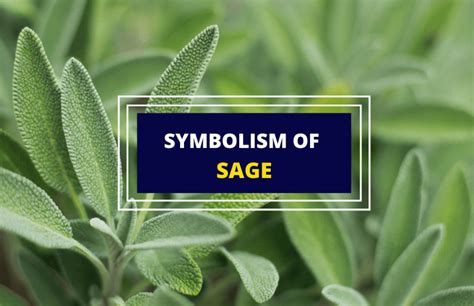 The Profound Meaning of Sage Incense