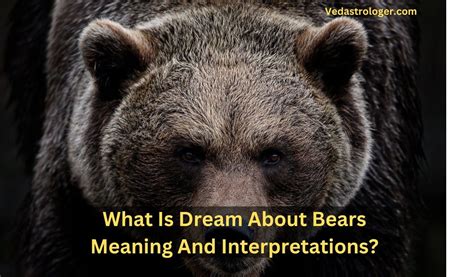 The Profound Significance of Bear Dream Interpretations