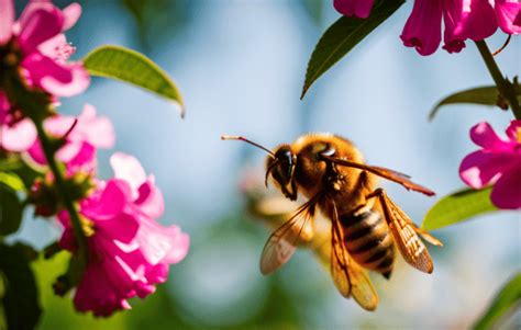 The Profound Significance of Bees: Unveiling the Spiritual Essence