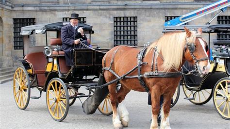 The Profound Significance of the Equine and Carriage