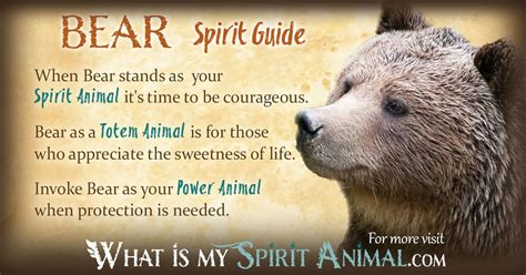 The Profound Spiritual Connection: The Mighty Ebony Bear as a Sacred Animal Guide