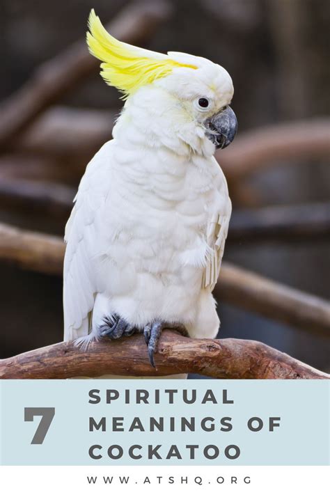 The Profound Spiritual Significance of Cockatoo Birds in Dreams