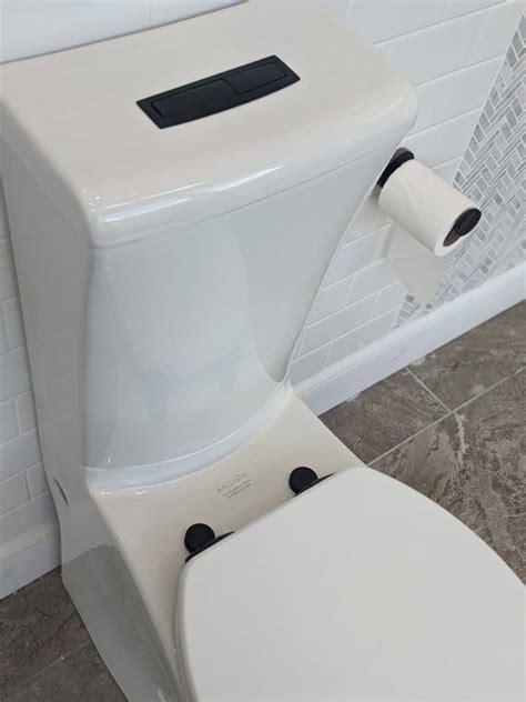 The Pros and Cons of Traditional Flush Toilets