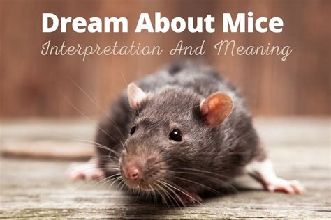 The Psychological Associations of Mice in Dream Analysis