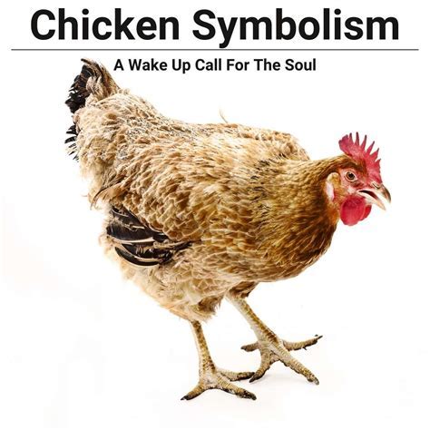 The Psychological Insight into Envisioning Poultry: Decoding the Significance