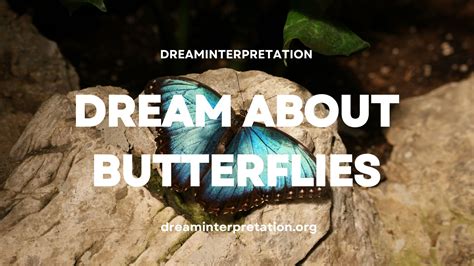 The Psychological Interpretation of Dreaming About Butterflies