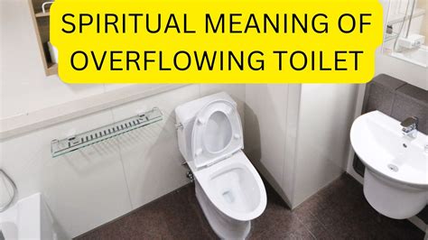 The Psychological Interpretation of Maintaining Toilets