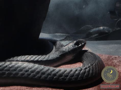 The Psychological Interpretation of Snake Bites in Dream Imagery