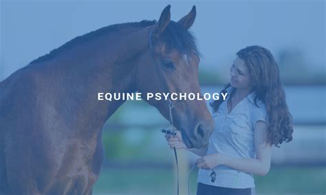 The Psychological Interpretations of Fantasizing about a Pure Equine