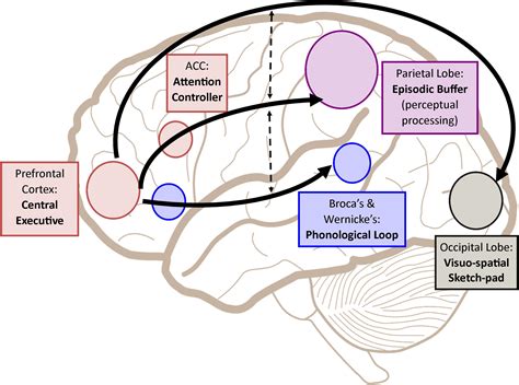 The Psychological Mechanisms Behind Fictitious Connections