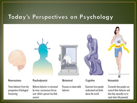 The Psychological Perspective