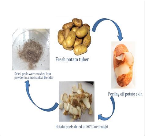 The Psychological Significance: Examining the Role of Potato Peels in Unconscious Desires