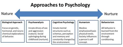 The Psychological Significance of Being Nurtured by Another Individual