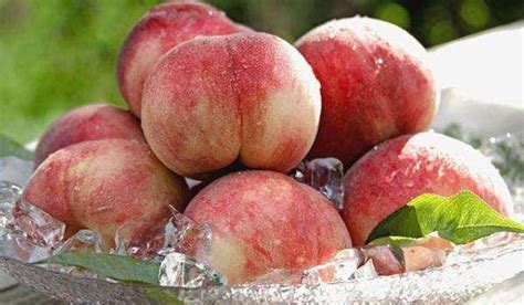 The Psychological Significance of Dreaming about a Rotten Peach