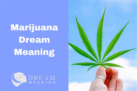 The Psychological Significance of Dreams Involving Cannabis Use