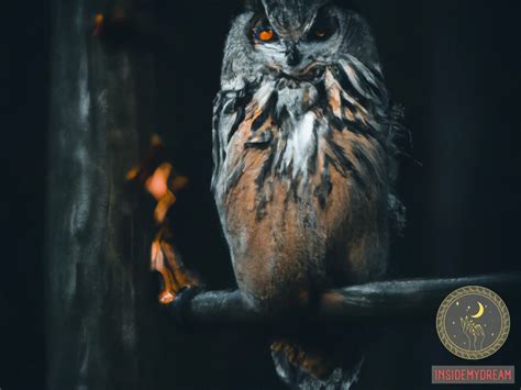 The Psychological Significance of a Confined Owl in Dreams