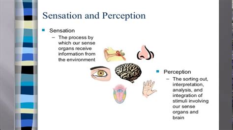 The Psychological Significances of Sensation Dragged Underneath in Your Sleep