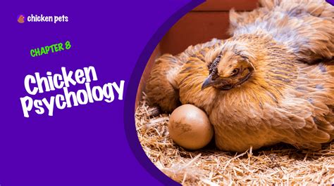 The Psychological Understanding of Regurgitated Poultry Fragments