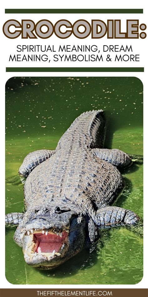 The Psychological and Emotional Significance of a Dreaming Crocodile