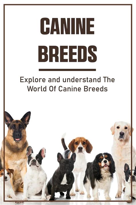 The Psychological and Social Implications: Understanding the Attraction to Large Canine Breeds