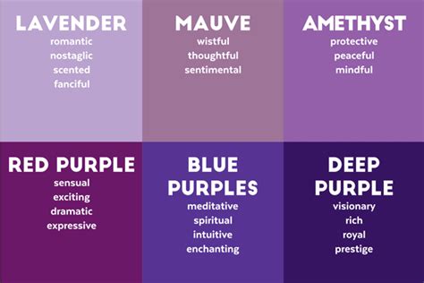 The Psychology Behind the Alluring Shade: How Purple Influences our Emotions and Actions