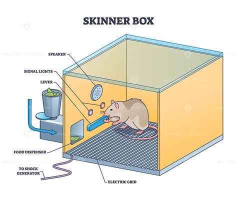 The Psychology behind Mouse Imaginations