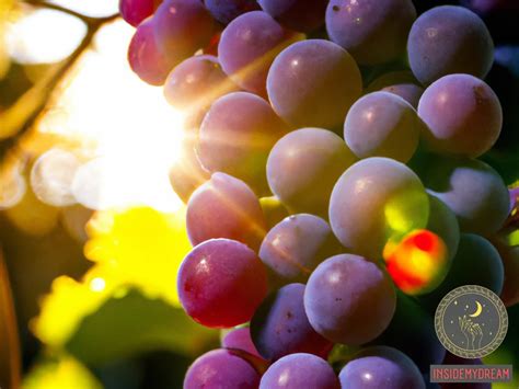 The Psychology of Dreams: Revealing the Symbolism Behind Grape Consumption