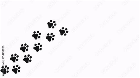 The Puzzle of the Vanishing Paw Prints: Tracing the Steps of Your Missing Canine Companion