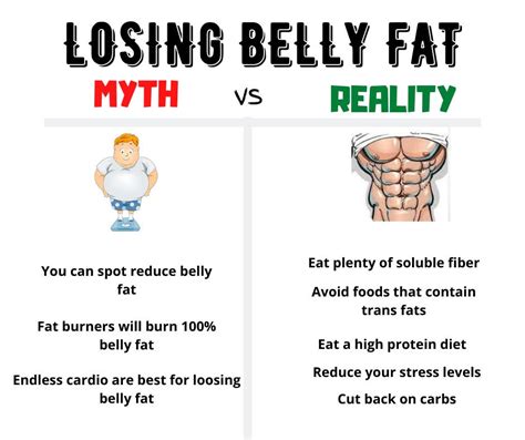 The Quest for a Flat Stomach: Myth vs. Reality