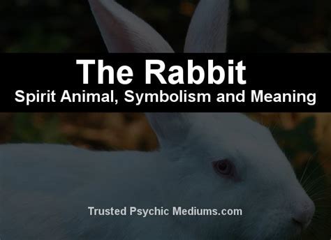 The Rabbit's Tail: A Symbol of Fertility and Prosperity