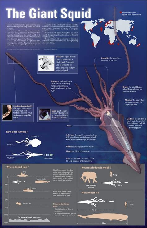 The Range and Adaptability of Colossal Fish Species