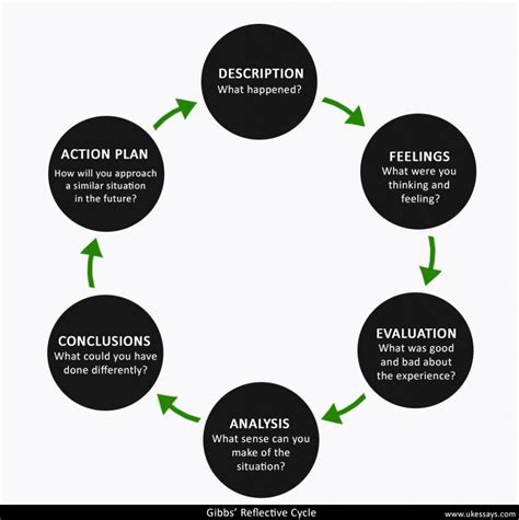 The Reflective Interpretation: Examining One's Own Behavior and Conscience