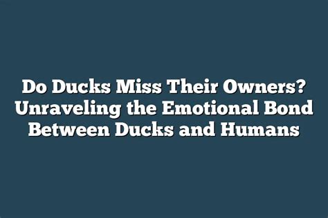 The Relation between Ducks and Emotional Intelligence