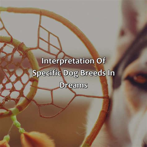 The Relationship Between Canine Breeds and Interpreting Dreams