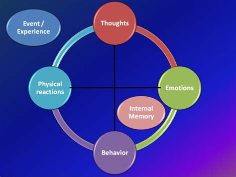 The Relationship Between Dreams and Emotional Processing