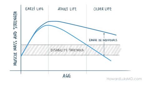 The Relationship Between Excess Weight and Longevity: How Body Mass Impacts Canine Lifespan