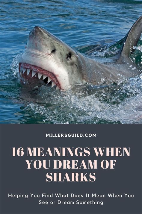 The Relationship between Dreams of Shark Fins and the Fear of Not Succeeding