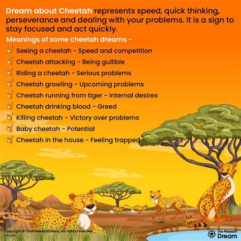 The Relationship between Infant Cheetah Dreams and Personal Development