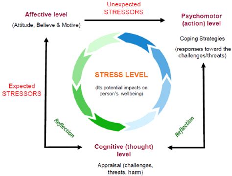 The Relationship between Stress and Dream Content