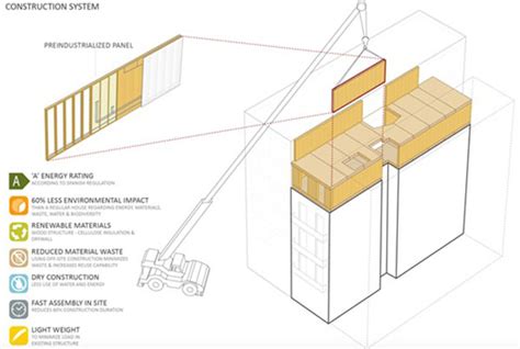 The Remarkable Measurement: Molly Meadows' Vertical Extension