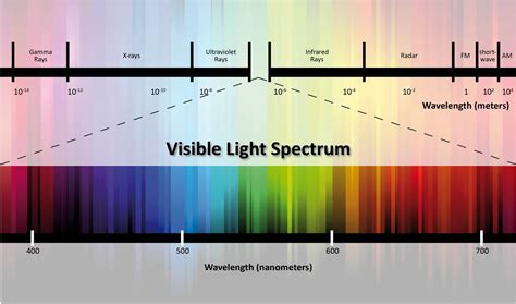 The Remarkable Spectrum of Colors in the Natural World