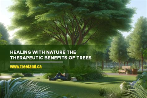 The Restorative Influence of Nature: Symbolic Significance of Trees for Therapeutic Benefits