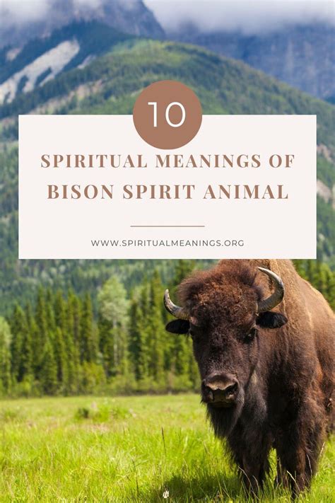 The Revered Symbolism of the Majestic Bison in Indigenous Beliefs