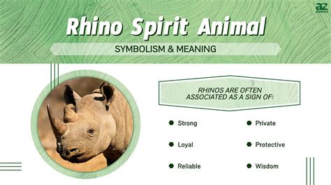 The Rhino as a Personal Symbol: What It Signifies to Different Individuals