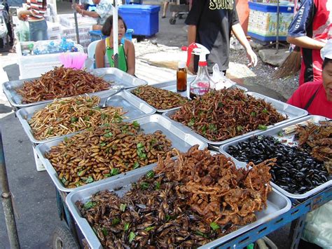 The Rise of Entomophagy: Embracing Insect-Eating as a Sustainable Food Trend