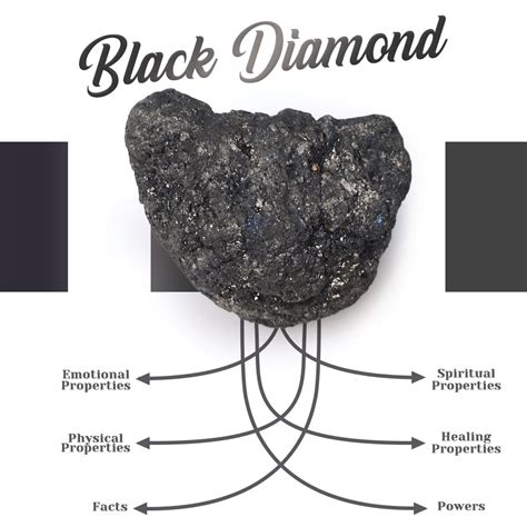 The Rise to Fame of Black Diamond