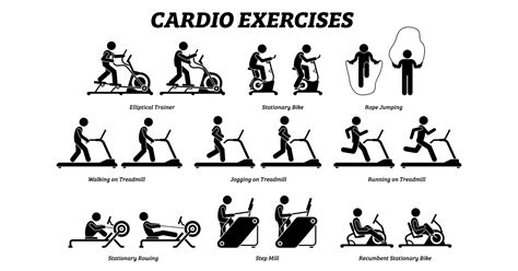 The Role of Cardiovascular Exercise in Fat Loss and Body Definition