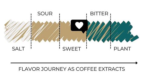 The Role of Climate in Coffee Flavor: How Geography Affects Your Brew